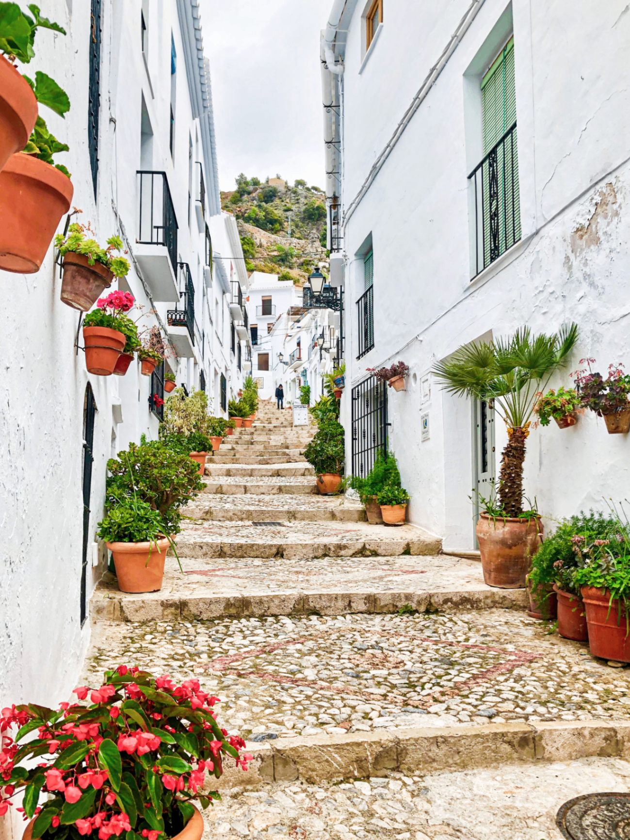 Ruelle fleurie d'un village blanc andalou